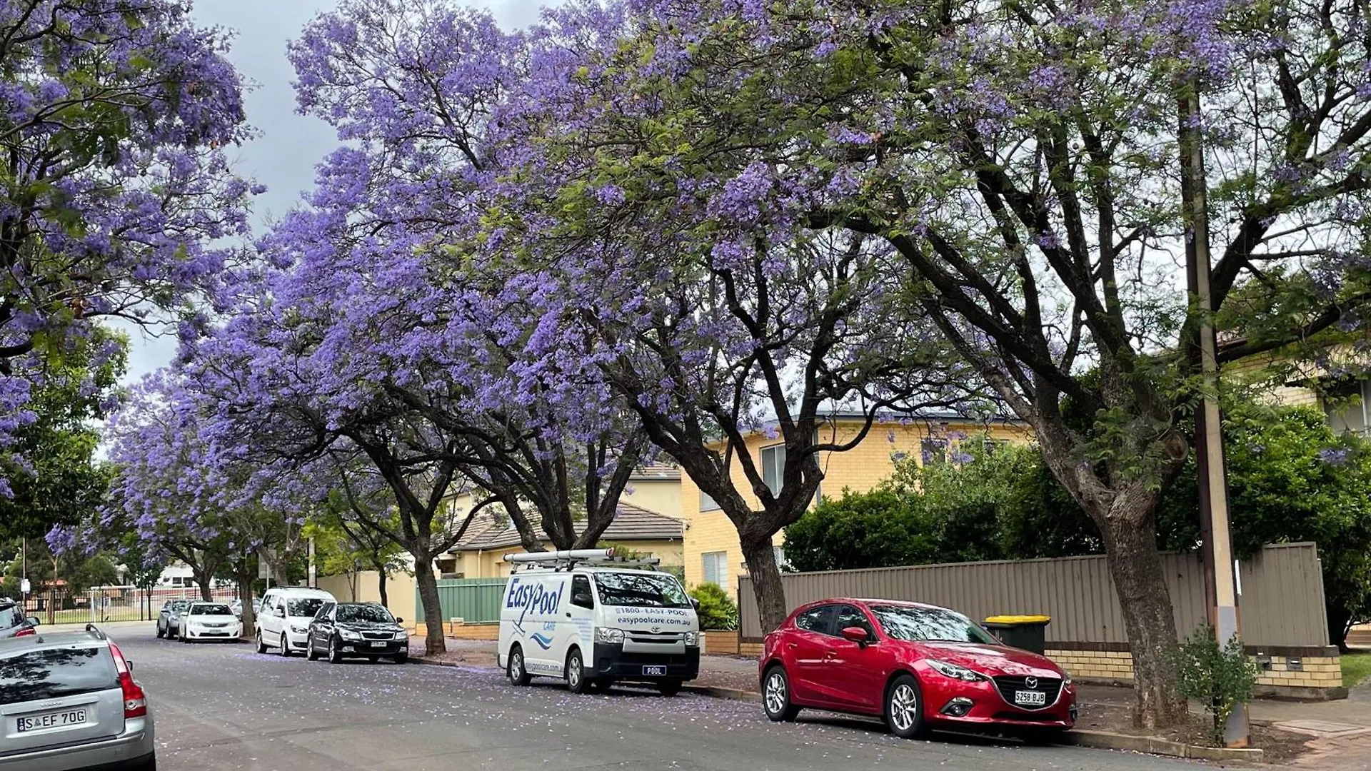 Cosy 2-Bedroom Apartment In Tree-Lined Highgate With Free Parking, Wi-Fi, Workspace & Netflix Adelaide